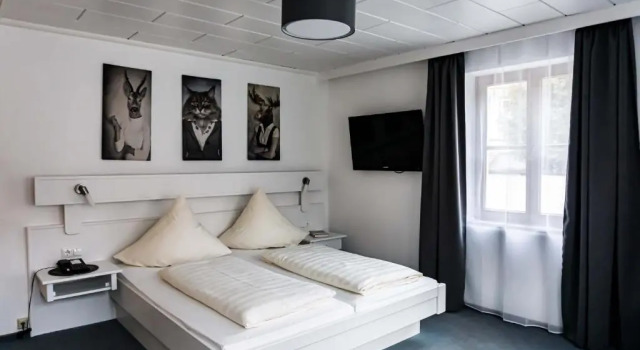 Двухместный номер Standard Hotel Sonne - Das kleine Altstadt Hotel