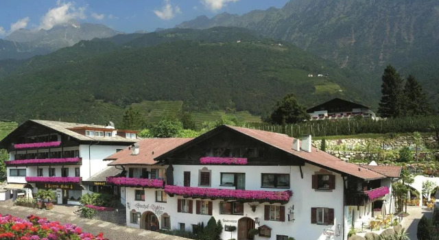 Номер Standard PALMENGARTEN Hotel Gstör