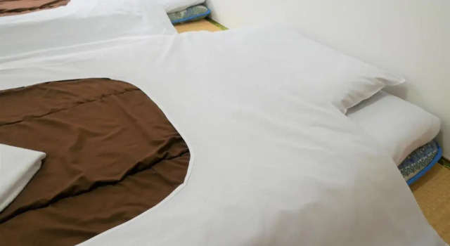 Двухместный номер Japanese Style Sakura Hotel Nippori