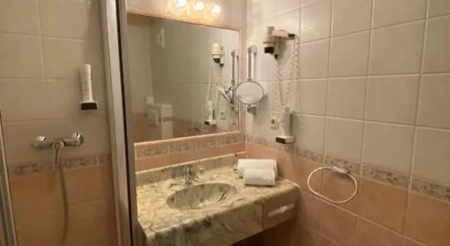Номер Standard Hotel Dienstl Gut