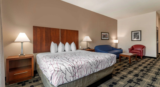 Двухместный номер Standard Best Western Plus Big Lake Inn
