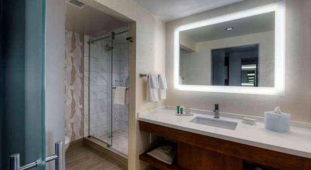 Двухместный номер Standard Hilton Norfolk The Main
