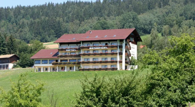 Номер Standard Hotel Sonnbichl