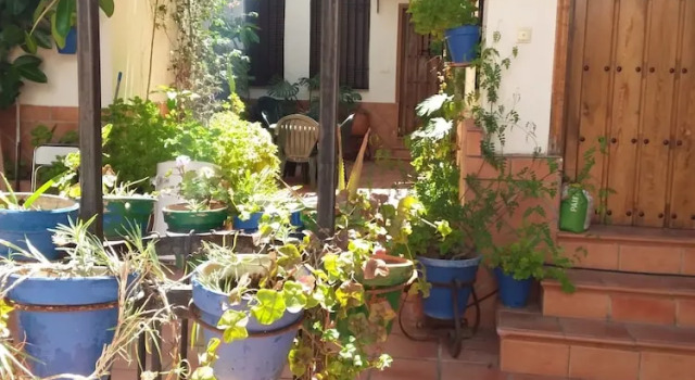 Коттедж с 4 комнатами Casa Tipica Cordobesa en la Juderia