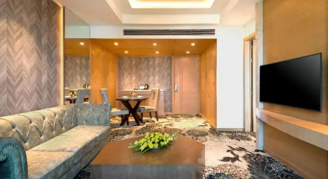 Люкс Standard Radisson Blu Gorakhpur