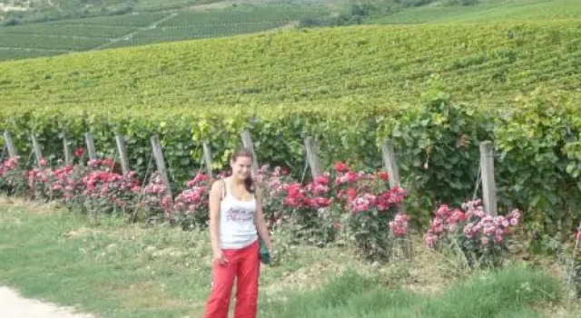 Torkolat Panzió, Rezervovat Hotel Hotely v Košický kraj s parkováním, Parkování