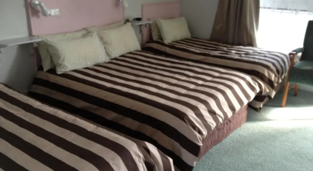 Семейный номер Standard Fig Tree Motel