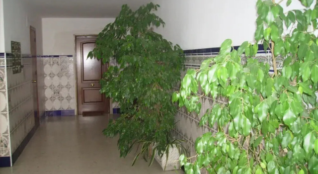 Apartment Seaside In Nerja Malaga Andalusia Spain, Забронировать Апартаменты/квартира Апартаменты Нерха, рядом с Церковь Эль-Сальвадор, Апартаменты/квартира