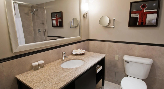 Номер Standard Wyndham Gatineau-Ottawa & Conference Centre