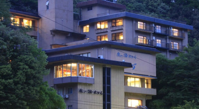 Люкс с видом на реку Shikanoyu Hotel