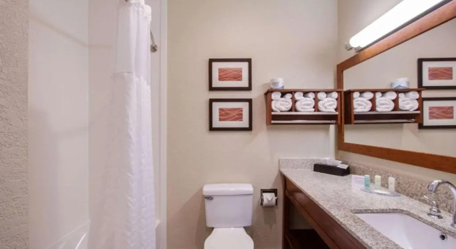 Номер Standard Comfort Inn & Suites Bellevue - Omaha Offutt AFB