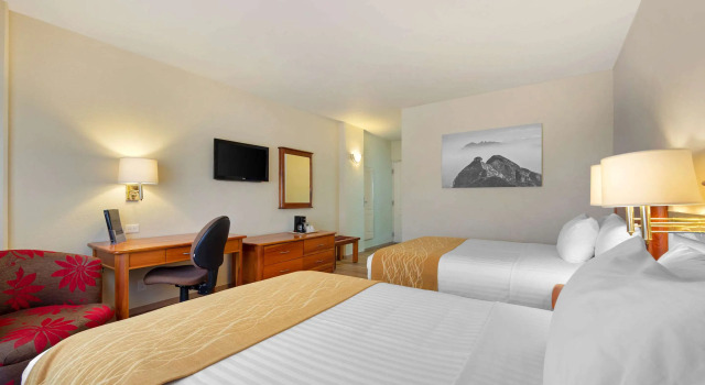 Четырёхместный номер Standard Comfort Inn Monterrey Valle