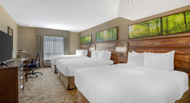 Шестиместный номер Standard Best Western Plus Valemount Inn & Suites