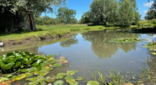 Семейный номер Standard Domaine Les Saules Hôtel Restaurant Spa