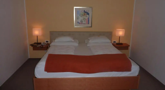 Двухместный номер Standard Hotel Zima