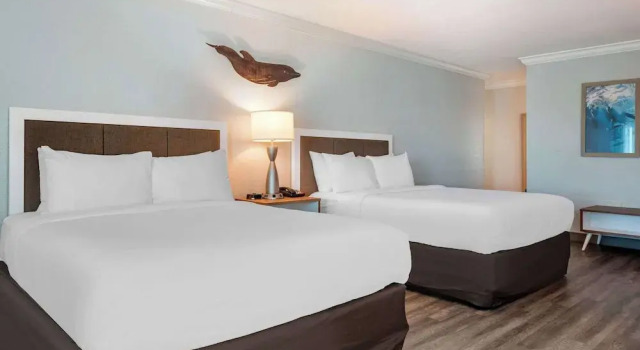 Четырёхместный номер Standard с видом на бассейн Dolphin Sands Clearwater Beach, an Ascend Collection Hotel