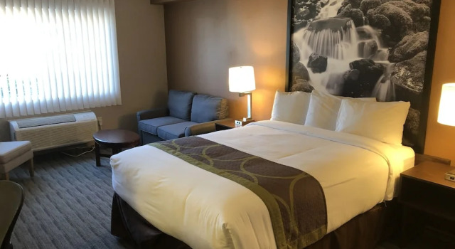 Люкс Super 8 by Wyndham Lynnwood