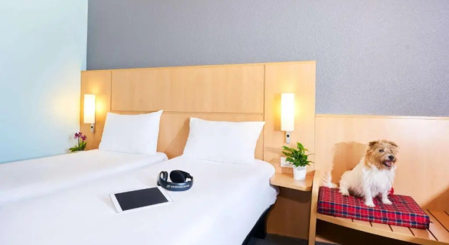 Standard Twin room Ibis Como