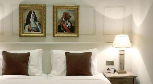 Номер Deluxe The Grafton Arms Pub & Rooms