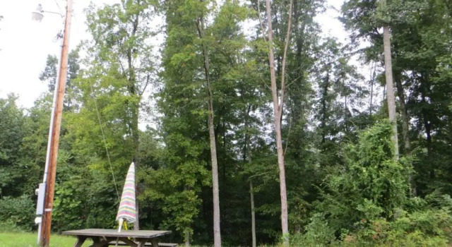 Misty Mountain Inn, Boek Appartement Campton Kentucky