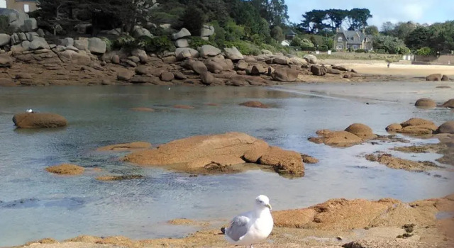 Maison avec WIFI, à 100m de la plage à Ploumanac'h en PERROS-GUIREC - Réf 345, Rezerwuj Hotel Perros-Guirec 