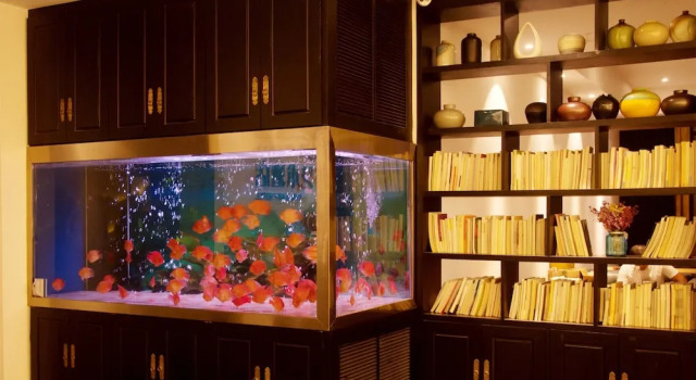 Yunxi Art Theme Hotel, Rezerwuj Hotel Nanchang Jiangxi
