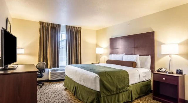 Студия Cobblestone Hotel & Suites - Torrington
