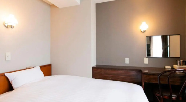 Одноместный номер Standard Hotel New Nishino