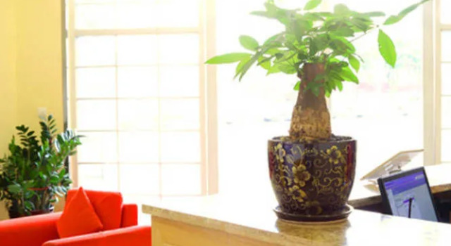 Home Inn Foshan Nanhai Tian'an Digital Center, Book Hotel Hotels in Guangdong with Parking, Parking