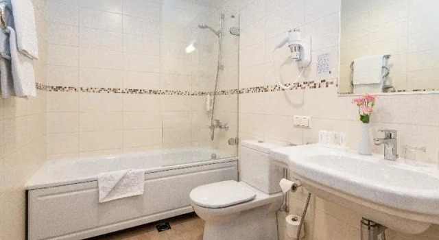 Люкс Standard Euterpe Hotel