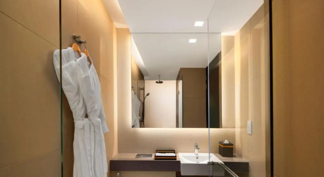 Двухместный номер Urban West Wing Aloft by Marriott Singapore Novena