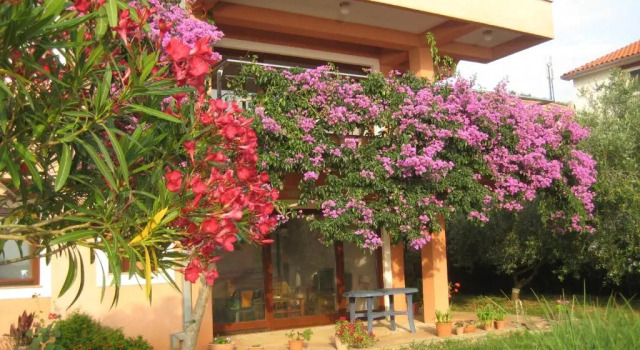 Apartman Lavanda