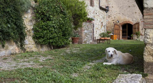 Коттедж с 2 комнатами Agriturismo Antico Borgo Montacuto