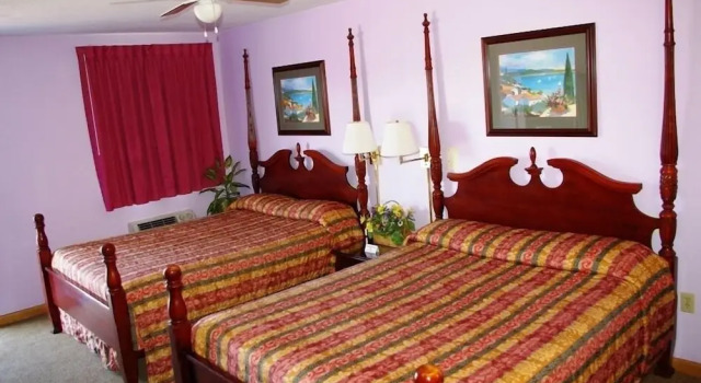 Номер Standard Blue Spruce Motel