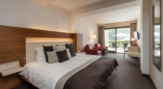 Полулюкс Deluxe Hotel Gartner