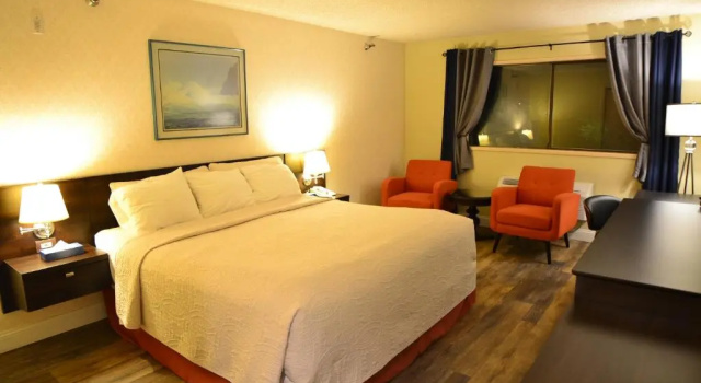 Hotel International