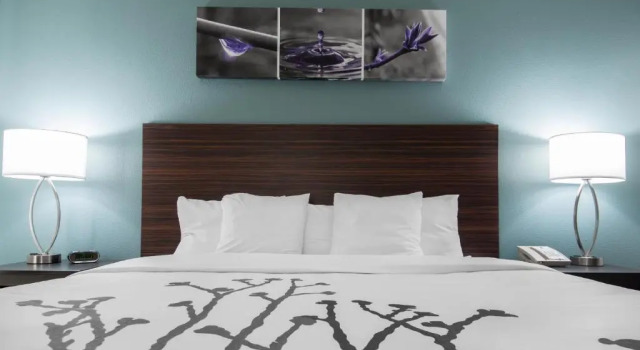 Номер Standard Sleep Inn & Suites Washington near Peoria