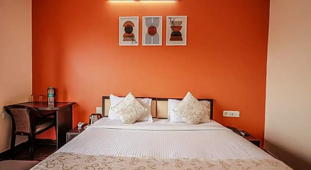 Номер Superior The Park Classic Udaipur
