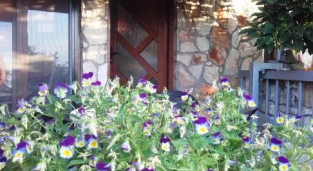 Guesthouse Sea View, Забронировать Отель Пула Pula Riviera, рядом с Пляж Каналич
