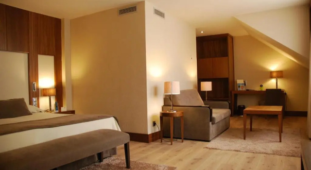 Одноместный номер Standard Отель Gran Hotel Balneario De Puente Viesgo
