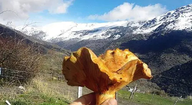 Refugio Alpujarra Alta, Buchen Sie Hotel Trevélez Alpujarras