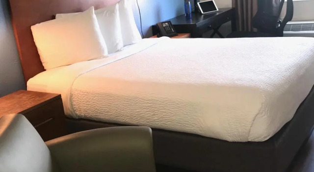 Двухместный номер Accessible Hotel Focus SFO