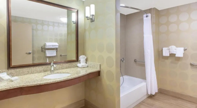 Двухместный номер Premium Hilton Garden Inn Ann Arbor