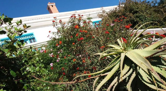 Riad Tamayourt Ocean View