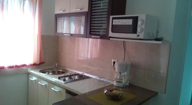 Студия Apartments Begonia