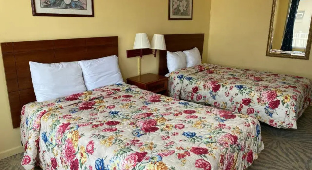 Четырёхместный номер Standard Downbeach Inn
