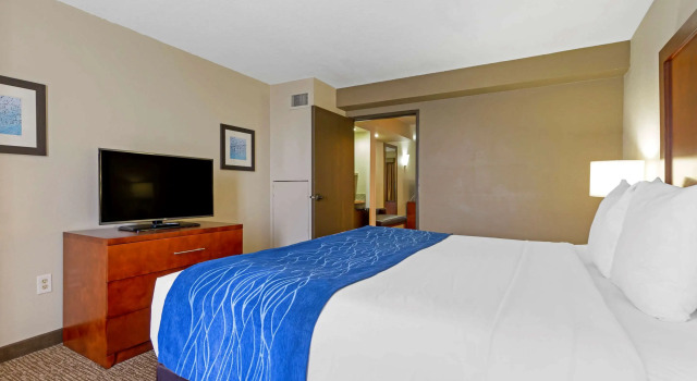 Двухместный люкс Comfort Suites Fredericksburg South