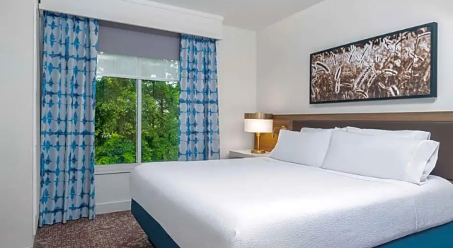 Двухместный люкс Hilton Garden Inn Montgomery East