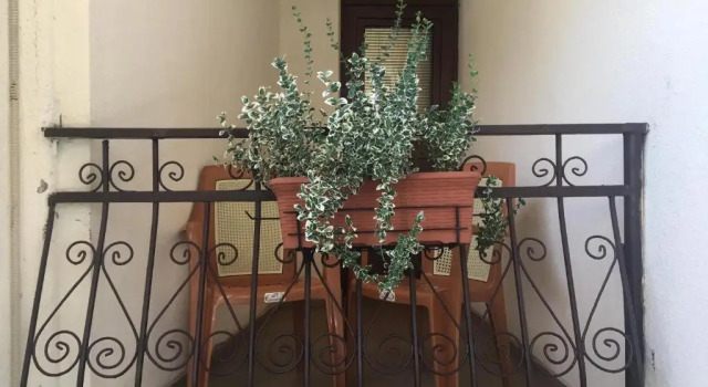 Standard dublă cameră Heyvany Hotel
