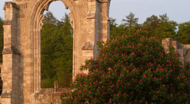 Suite Comfort Ferienwohnungen Klosterblick